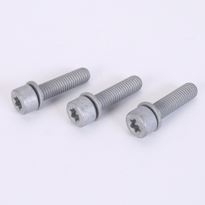 Gasket combination bolts