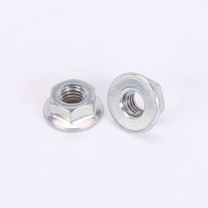 Hex Flange Nuts